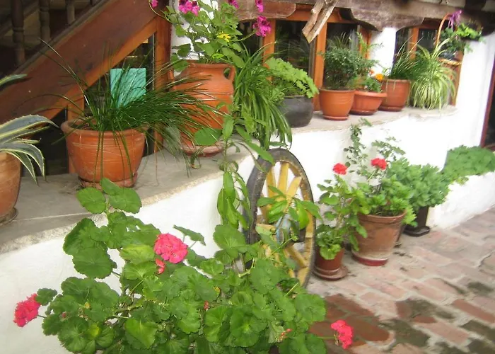 Dedo Pene Guest house